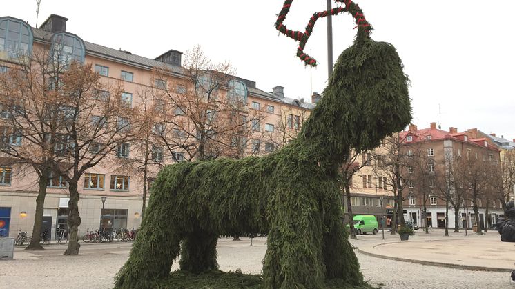 Bocken Julius kommer till Järntorget lagom till 2a advent!
