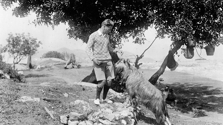 Alfred Westholm och geten Filoxenos II. Vouni. Svenska Cypernexpeditionen 1927–1931.