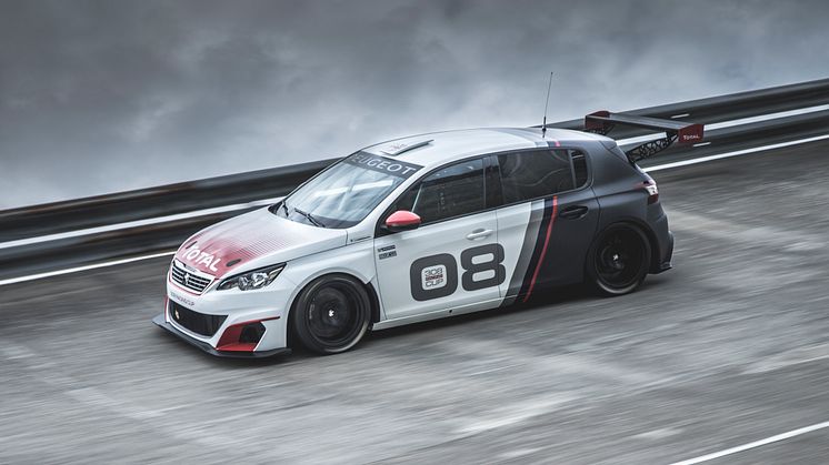 308 Racing Cup