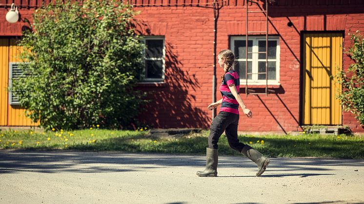Tikan luomutilan pihapiiriä ja lypsyvastaava Veera