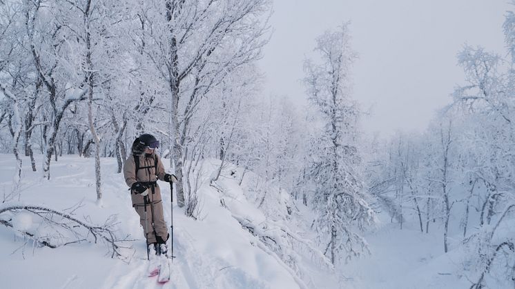 Ramundberget-DSF7474.jpg