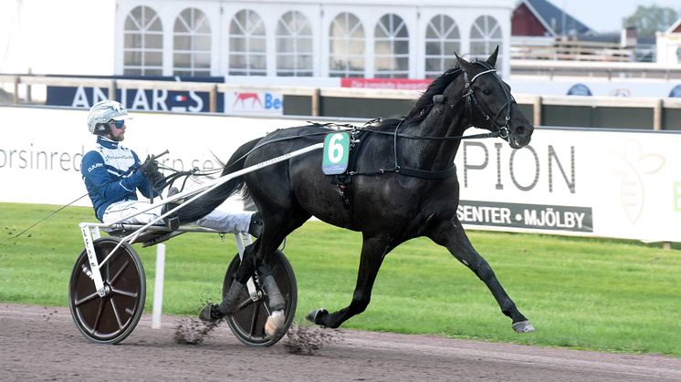 ﻿﻿13-årige Sorbet vann Sprinterkrevaden på Mantorp Hästsportarena. Foto: Magnus Strömsten.