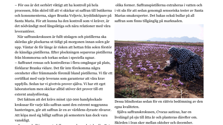 Låt julen dofta av riktigt bra saffran
