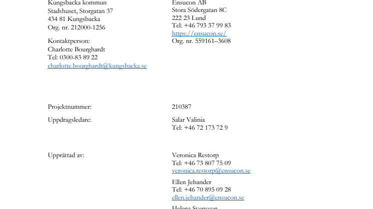 PM Nulägesanalys.pdf
