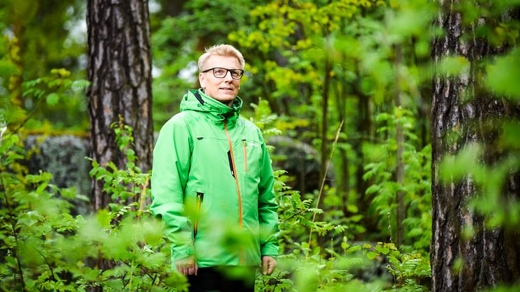 Yleensä luonnossa liikkuminen herättää ihmisissä halun suojella sitä, ministeri Kimmo Tiilikainen sanoo. Kuva: Teemu Kuusimurto/YHA kuvapankki   