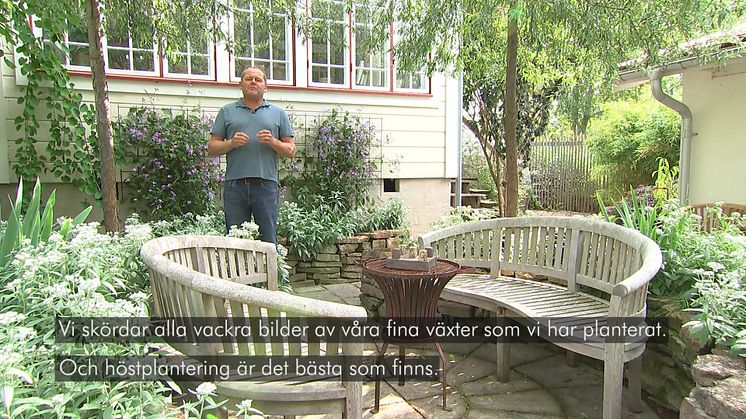 Höstplantera med John Taylor
