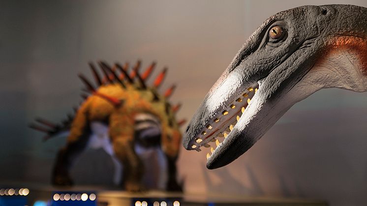 Fler dinosaurier till Naturhistoriska riksmuseet