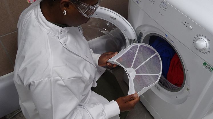 Lint filter inspection from tumble dryer studies