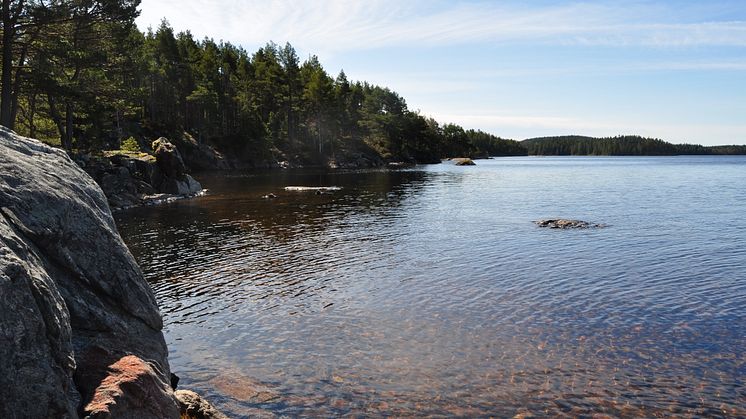Bocksjön. Nytt naturreservat på och över gränsen mellan Sverige och Norge. Foto: Länsstyrelsen i Västra Götaland