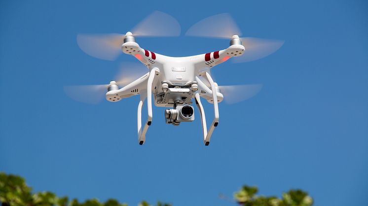 A robotic revolution for urban nature