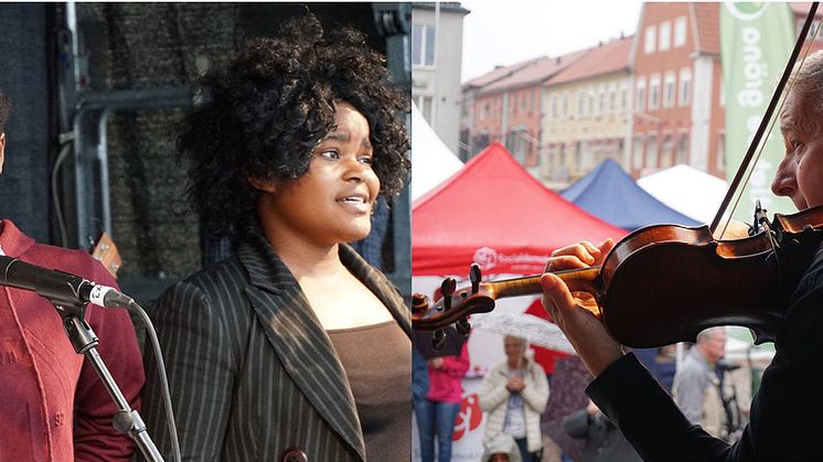Några av ungdomarna i Songlines Orkestra samt Géza Polónyi, violonist i Camerata Nordica.