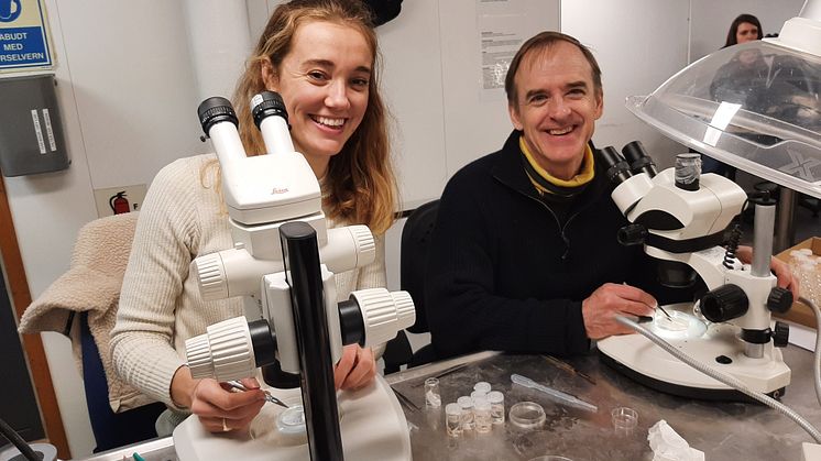 Frida Cnossen in the research vessel laboratory together with her supervisor at Akvaplan-niva, Paul Renaud. (Photo: Eva Leu/Akvaplan-niva).