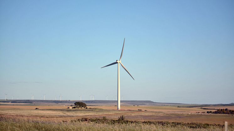 Återstart i Australien efter bränder och pandemi
