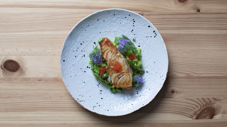 Skrei turskaa