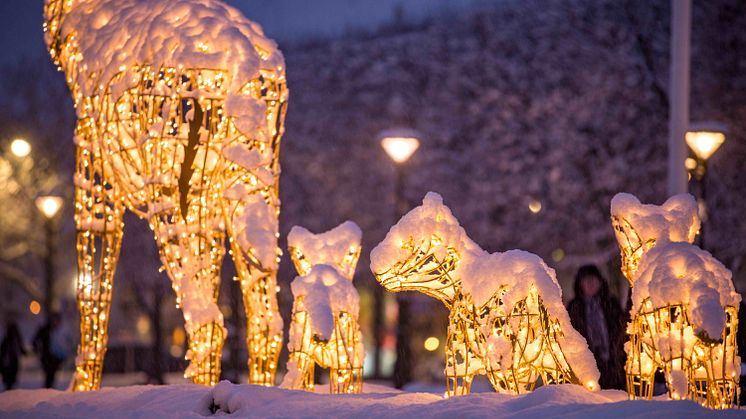 Vargfamiljen på torget kommer att tändas under veckan. Bild: MK Illumination AB
