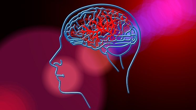 Vanliga läkemedel mot diabetes kan förbättra utfallet efter stroke. Foto: Pixabay