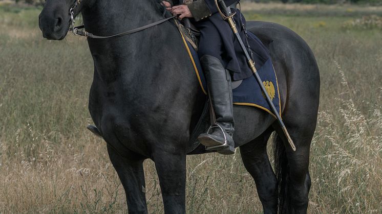 Grant_HISTORY