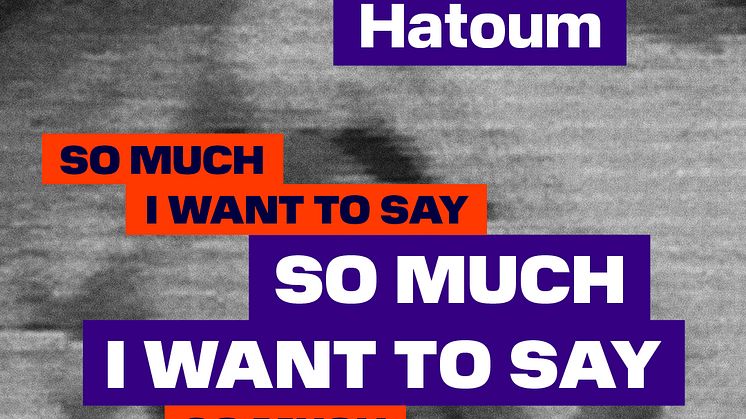 Pressvisning: Mona Hatoum på Accelerator och Magasin III