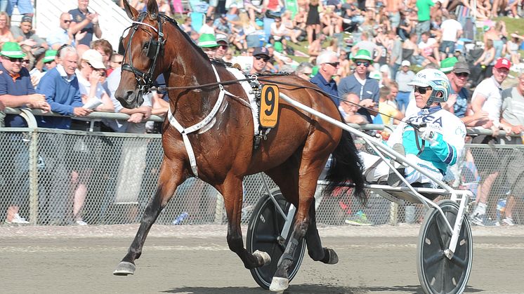 Norrlands största sportevent gästas av världens snabbaste häst