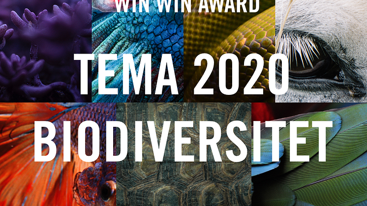 Nu kan allmänheten nominera kandidater till WIN WIN Award 2020.
