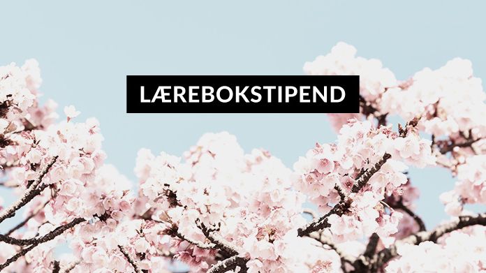 Søkerrekord til Fagbokforlagets lærebokstipend våren 2021