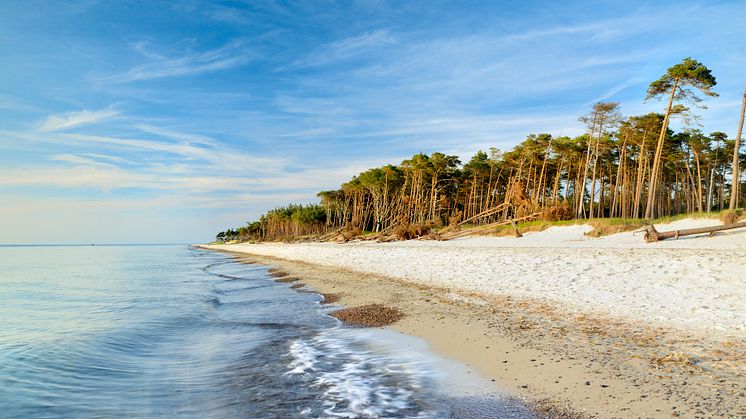 Prerow weißer Strand