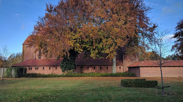 Fynske Bedemænd, din billigste bedemand Svendborg