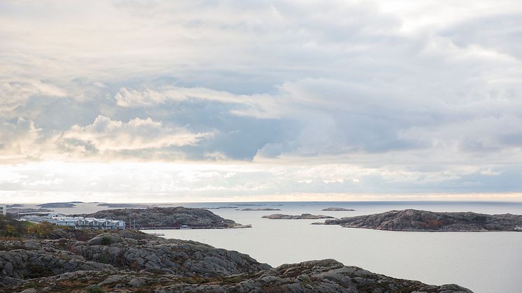 Cirka tvåhundra mil kust med kringliggande hav ger goda förutsättningar för såväl fiskerinäringen som ett växande vattenbruk. Foto: Natalie Greppi