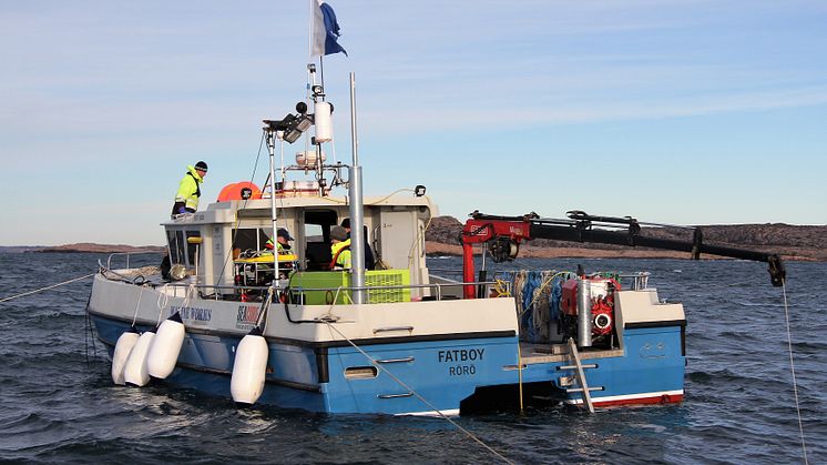 Saneringen av miljöfarliga vrak inleds: Nu töms fiskefartyget Thetis på olja