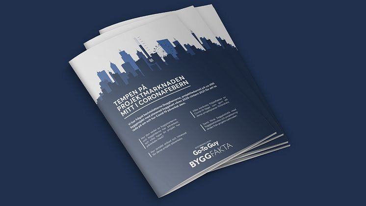 DET ÄR EN KOMPLEX BILD SOM MÅLAS UPP OM PROJEKTMARKNADENS OLIKA SKEDEN - NY RAPPORT