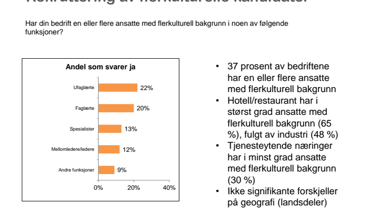Mangler ambisjoner og planer for flerkulturelle arbeidsplasser