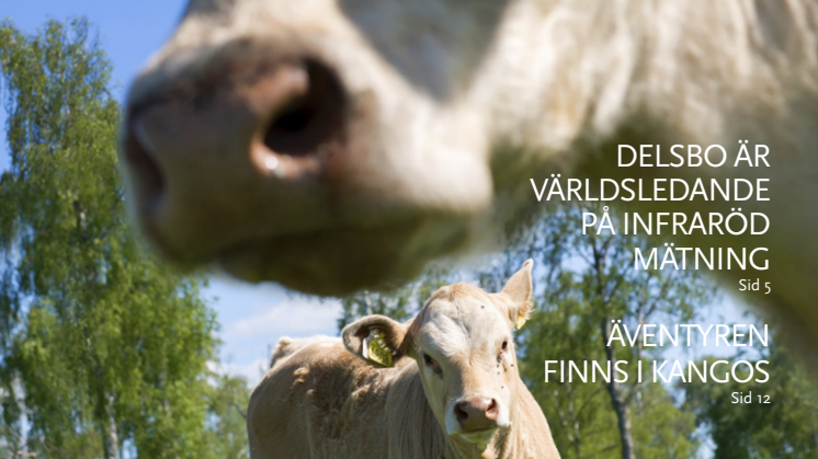 Norrlandsfondens årsredovisning 2014