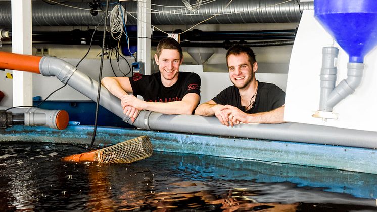 Johan Ljungquist och Mikael Olenmark startade Gårdsfisk för tre år sedan med visionen att odla en av världens mest hållbara fiskar och att vi ska kunna äta fisk utan bidra till överfiske, miljöförstöring och övergödning. Foto: Precious People 