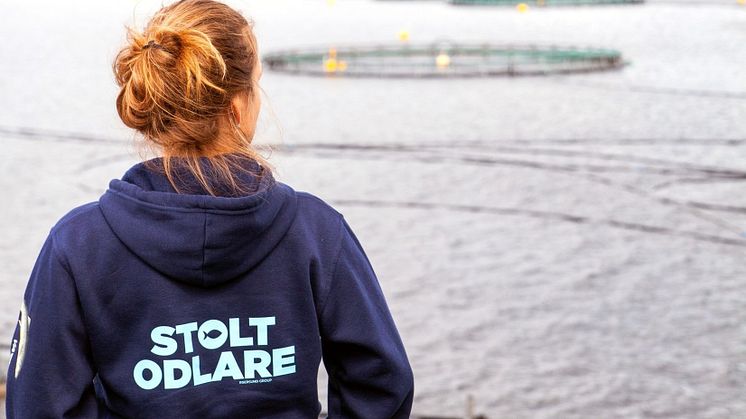 Bild: Vattudalens Fisk