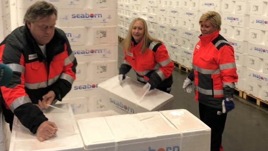 Fiskekasser lastes på pall av fra venstre fiskeri- og sjømatminister Harald T. Nesvik, leder av Sjømatråder Renate Nilsen, og finansminister Siv Jensen