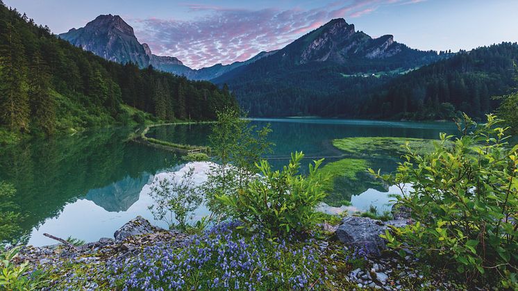 Obersee