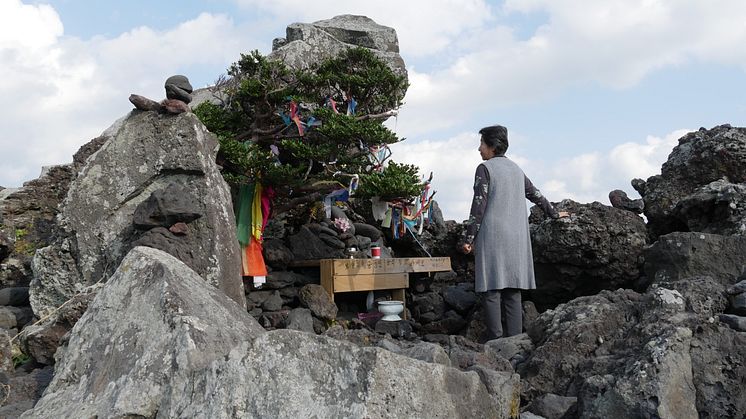 Sooni Kim, Donjitdang, Jeju, 2017