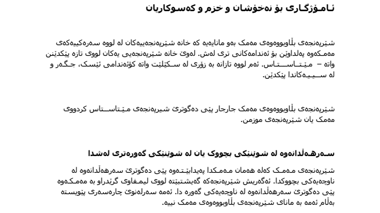 شــێـرپـەنـجـەی بڵاوبووەوەی مـەمـک هاوکات لەگەڵ مێـتـاســتاس _ئـامـۆژگـاری بۆ نەخۆشان و خزم و کەسوکاریان - Fakta om spridd bröstcancer på sorani