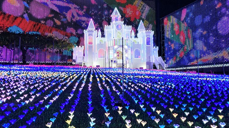 Flower Castle Light Up @ Ashikaga Flower Park