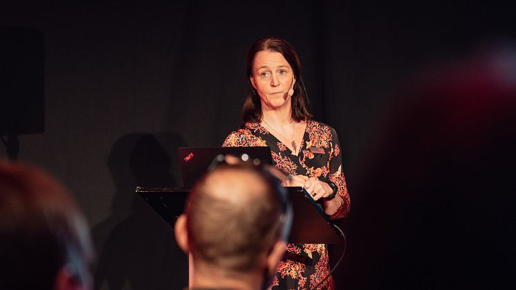 Vem är Annie och vad kommer min blogg handla om?