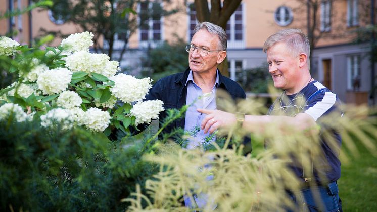 SKB är nominerad till Sveriges högsta förvaltningskvalitet. Här samverkar trädgårdstekniker och fastighetsskötare i kvarteret Tegelpråmen.