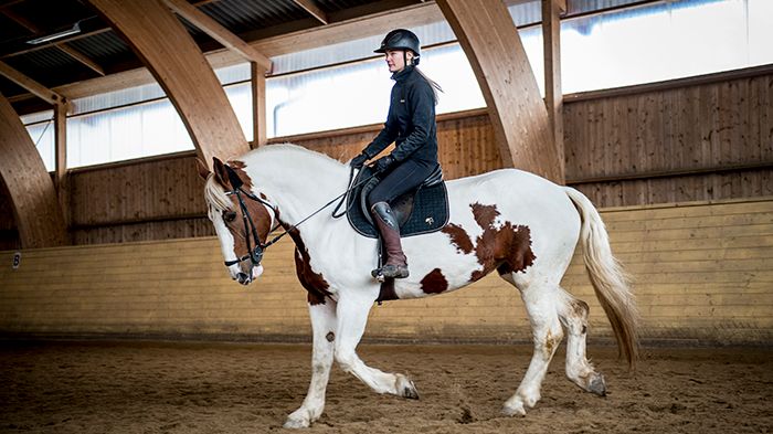 SparGyttorp3 700X500.jpg