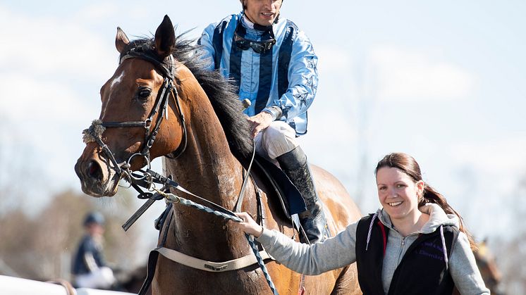 Galopptränaren Alice Elmerskog har stall på Bro Park i Upplands-Bro.