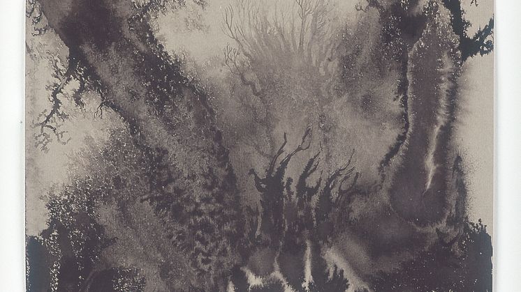 Elina Merenmies, Mist, 2004
