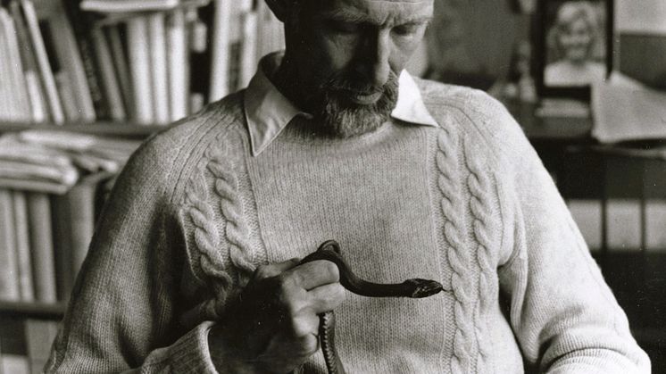Carl Edelstam 1977-0-21 Foto Rune Bollvik