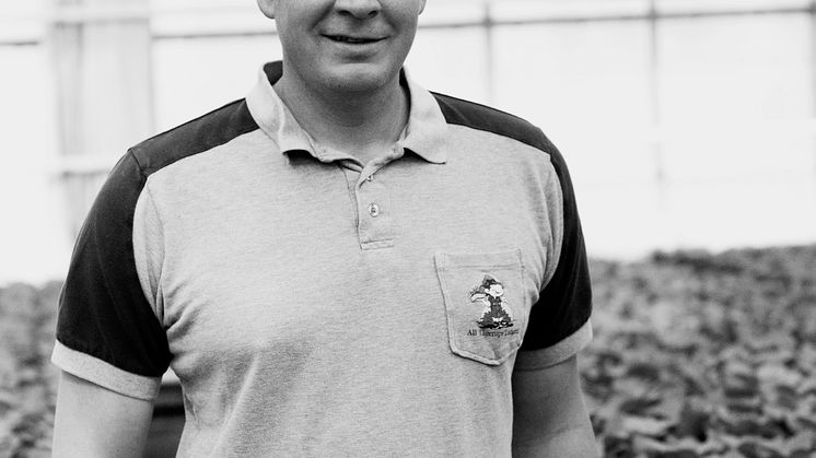 Mattias Svegin