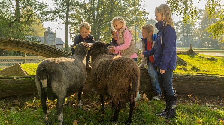 Bra säsongsstart för Skånes Djurpark