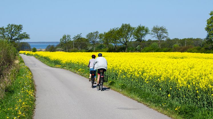 Foto: Mostphotos/Kennerth Kullman