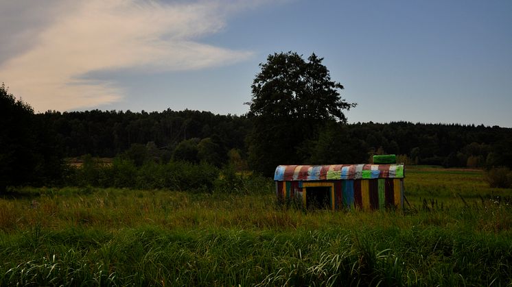 Foto: Sabria Wittstock