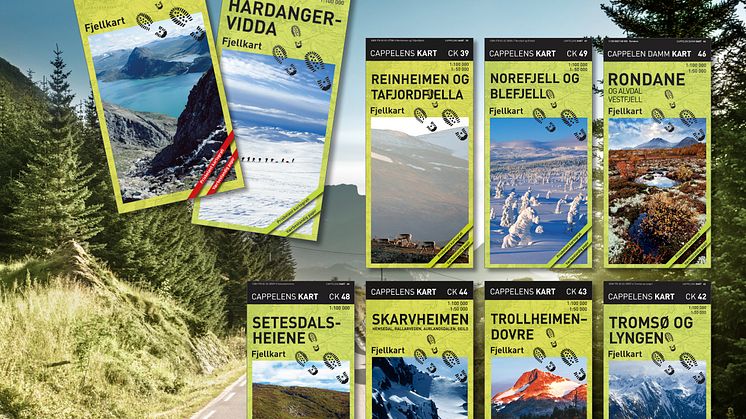 KARTFOKUS: Cappelen Damm vil ha en omfattende revidering av eksisterende kart i takt med kommunesammenslåingene i Norge.